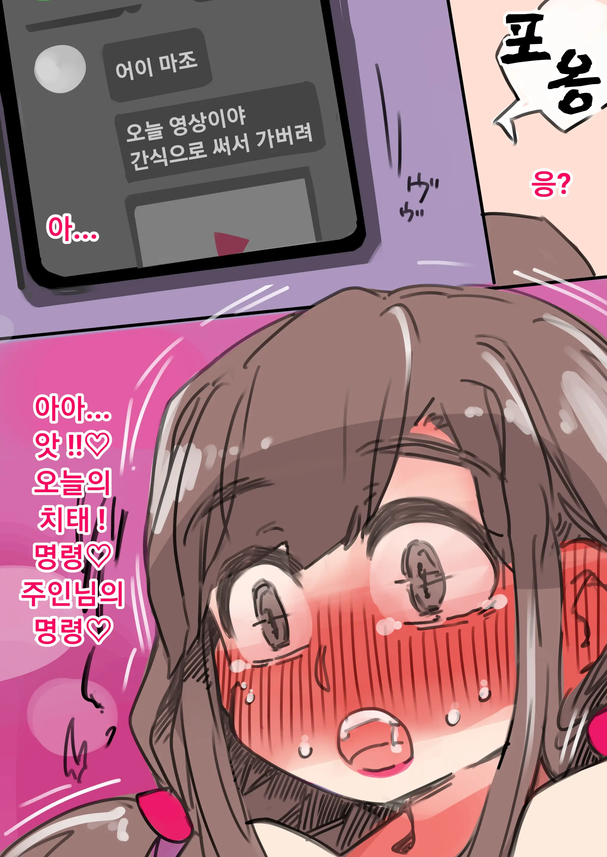 Shinsedaigata Teisoutai To Mesuka Choukyou Bunka Ni Tsuite